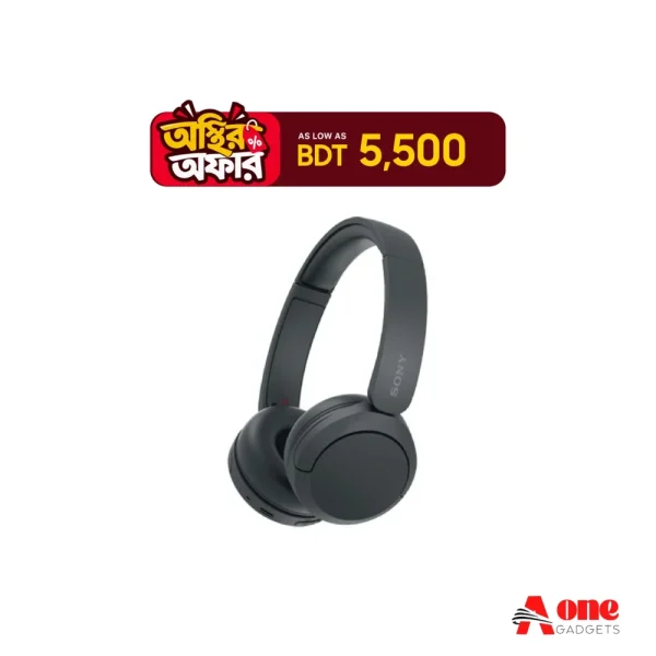 Sony WH-CH520 Overhead Headphone